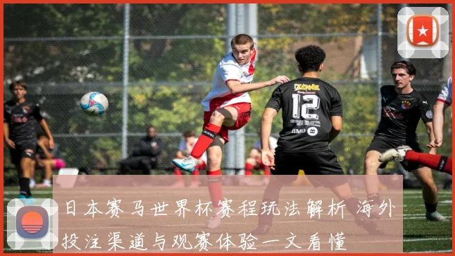 日本赛马世界杯赛程玩法解析 海外投注渠道与观赛体验一文看懂