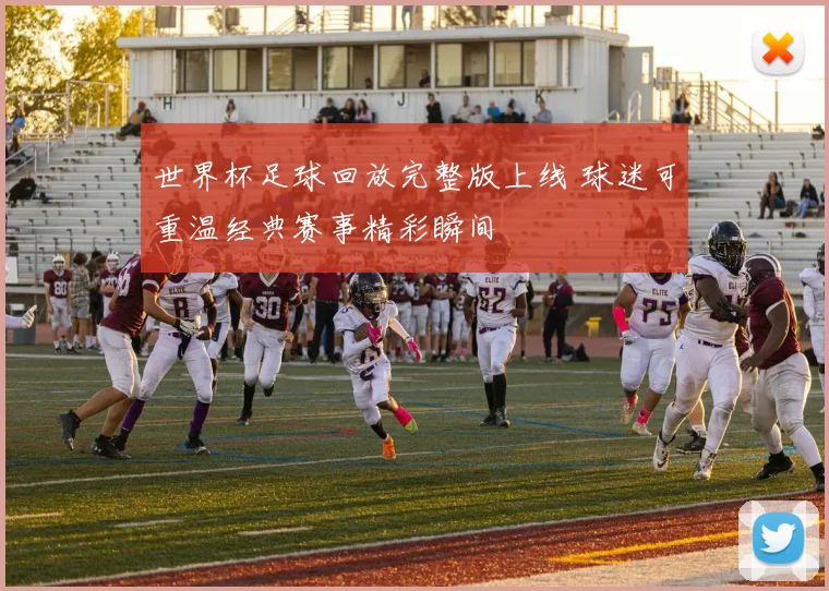 世界杯足球回放完整版上线 球迷可重温经典赛事精彩瞬间