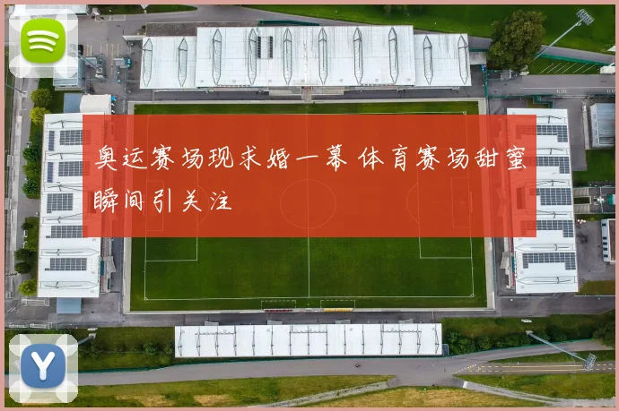 奥运赛场现求婚一幕 体育赛场甜蜜瞬间引关注