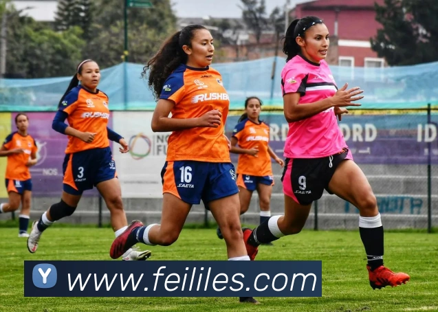 kaiyun官方网站入口APP 封面图