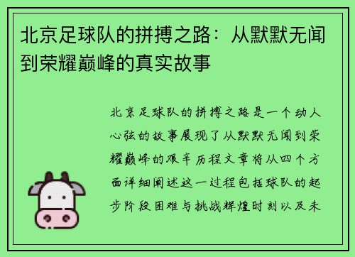 北京足球队的拼搏之路：从默默无闻到荣耀巅峰的真实故事