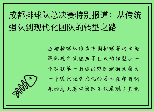 成都排球队总决赛特别报道：从传统强队到现代化团队的转型之路